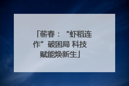 蕲春：“虾稻连作”破困局 科技赋能焕新生
