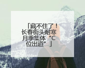 藏不住了！长春街头耐寒月季集体“C位出道”