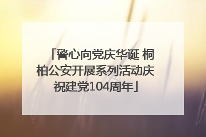 警心向党庆华诞 桐柏公安开展系列活动庆祝建党104周年