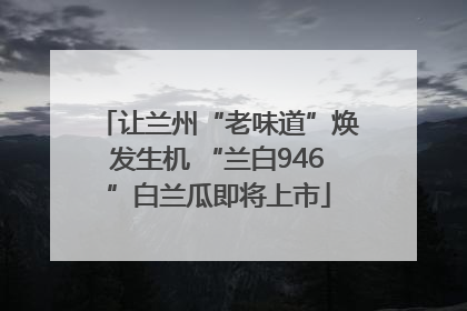 让兰州“老味道”焕发生机 “兰白946”白兰瓜即将上市