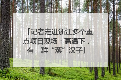 记者走进浙江多个重点项目现场：高温下，有一群“蒸”汉子