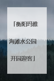 衡阳玛雅海滩水公园开园迎客