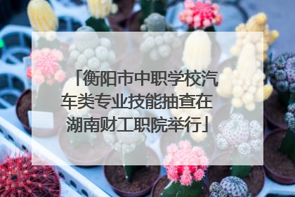衡阳市中职学校汽车类专业技能抽查在湖南财工职院举行