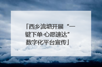 西乡流塘开展“一键下单·心愿速达”数字化平台宣传