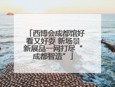 西博会成都馆好看又好耍 新场景新展品一网打尽“成都智造”