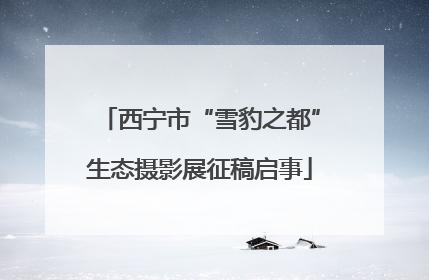 西宁市“雪豹之都”生态摄影展征稿启事