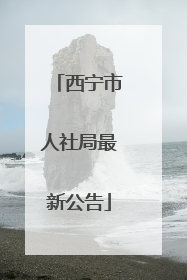 西宁市人社局最新公告