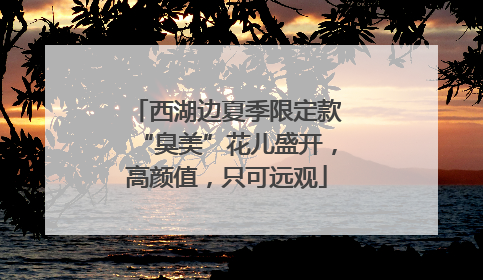 西湖边夏季限定款“臭美”花儿盛开，高颜值，只可远观