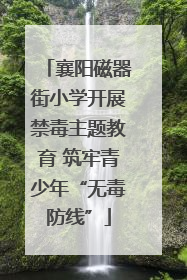 襄阳磁器街小学开展禁毒主题教育 筑牢青少年“无毒防线”