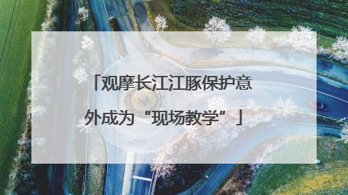 观摩长江江豚保护意外成为“现场教学”