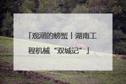 观潮的螃蟹丨湖南工程机械“双城记”