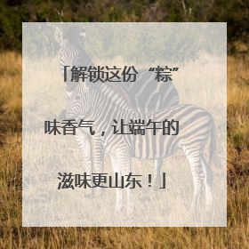 解锁这份“粽”味香气，让端午的滋味更山东！