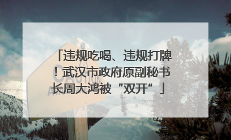 违规吃喝、违规打牌！武汉市政府原副秘书长周大鸿被“双开”