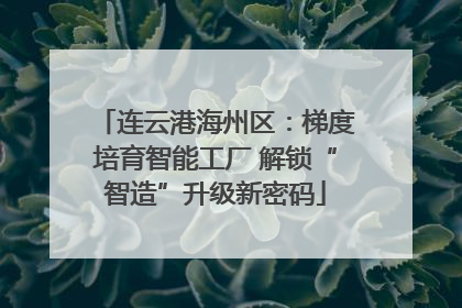 连云港海州区：梯度培育智能工厂 解锁“智造”升级新密码