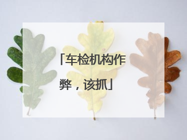 车检机构作弊，该抓