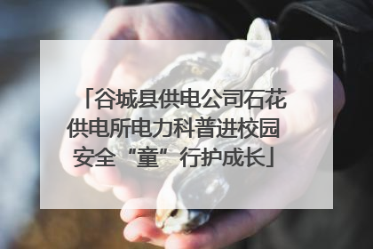 谷城县供电公司石花供电所电力科普进校园安全“童”行护成长