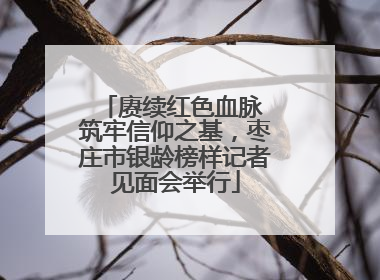 赓续红色血脉 筑牢信仰之基，枣庄市银龄榜样记者见面会举行