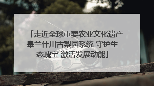 走近全球重要农业文化遗产皋兰什川古梨园系统 守护生态瑰宝 激活发展动能