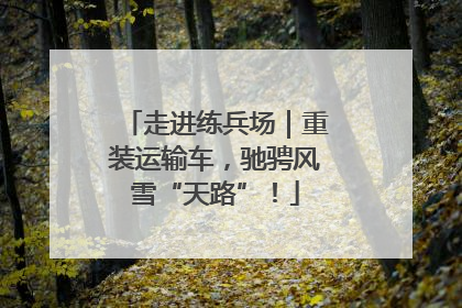 走进练兵场｜重装运输车，驰骋风雪“天路”！