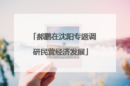 郝鹏在沈阳专题调研民营经济发展