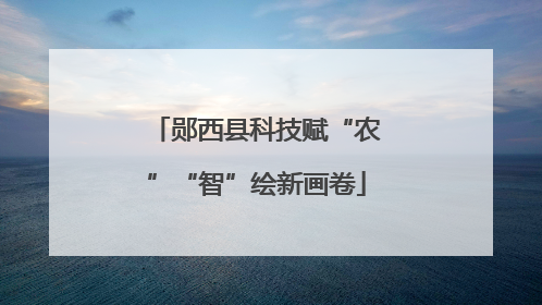郧西县科技赋“农”“智”绘新画卷