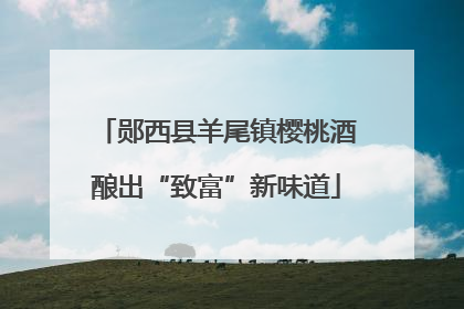 郧西县羊尾镇樱桃酒酿出“致富”新味道