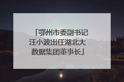 鄂州市委副书记汪小波出任湖北大数据集团董事长