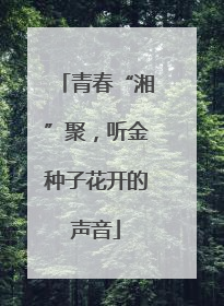 青春“湘”聚，听金种子花开的声音