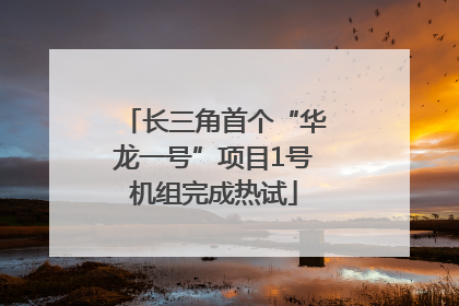 长三角首个“华龙一号”项目1号机组完成热试