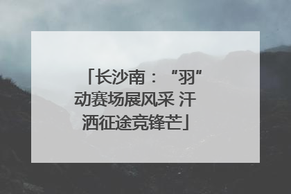 长沙南：“羽”动赛场展风采 汗洒征途竞锋芒