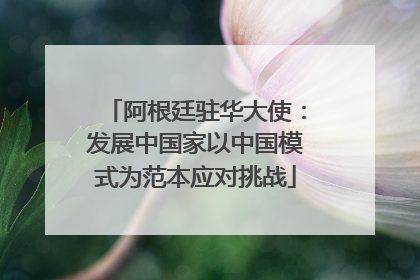 阿根廷驻华大使：发展中国家以中国模式为范本应对挑战