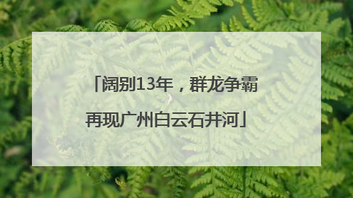 阔别13年，群龙争霸再现广州白云石井河