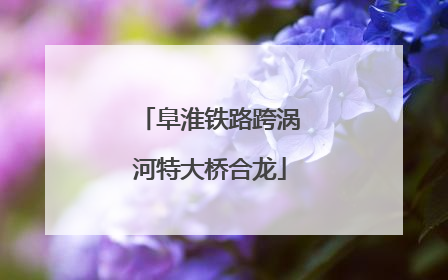 阜淮铁路跨涡河特大桥合龙