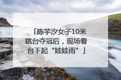 陈芋汐女子10米跳台夺冠后，现场看台下起“娃娃雨”