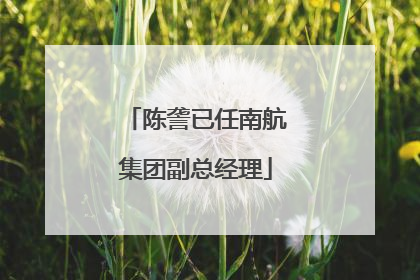陈詟已任南航集团副总经理