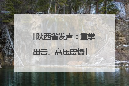 陕西省发声：重拳出击、高压震慑