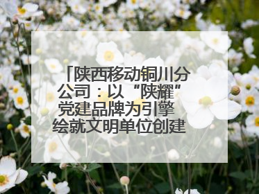 陕西移动铜川分公司：以“陕耀”党建品牌为引擎 绘就文明单位创建新画卷——全国文明单位创建纪实
