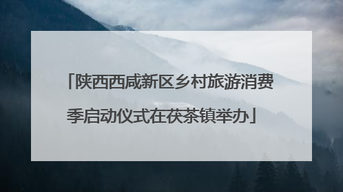 陕西西咸新区乡村旅游消费季启动仪式在茯茶镇举办