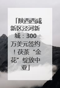 陕西西咸新区泾河新城：300万美元签约！茯茶“金花”绽放中亚