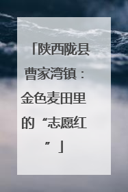 陕西陇县曹家湾镇：金色麦田里的“志愿红”
