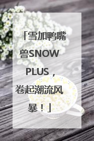 雪加鸭嘴兽SNOWPLUS，卷起潮流风暴！