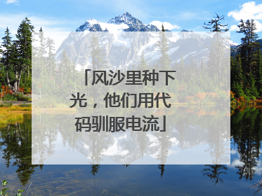 风沙里种下光，他们用代码驯服电流