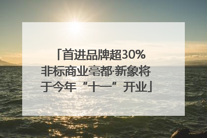 首进品牌超30% 非标商业亳都·新象将于今年“十一”开业