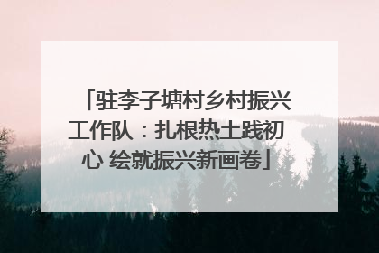 驻李子塘村乡村振兴工作队：扎根热土践初心 绘就振兴新画卷