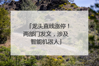 龙头直线涨停！两部门发文，涉及智能机器人
