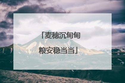 麦穗沉甸甸 粮安稳当当