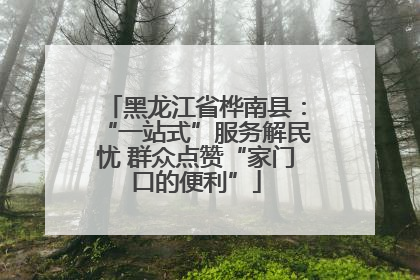 黑龙江省桦南县：“一站式”服务解民忧 群众点赞“家门口的便利”