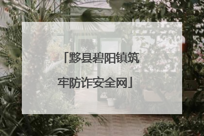 黟县碧阳镇筑牢防诈安全网