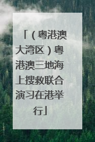 （粤港澳大湾区）粤港澳三地海上搜救联合演习在港举行