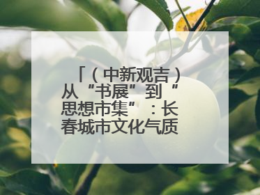 （中新观吉）从“书展”到“思想市集”：长春城市文化气质的关键一跃